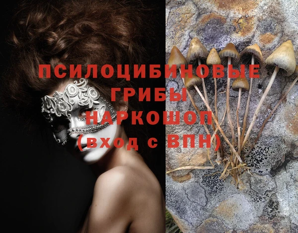таблы Карпинск